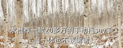 20多萬的車，20萬左右的小車買什么好
