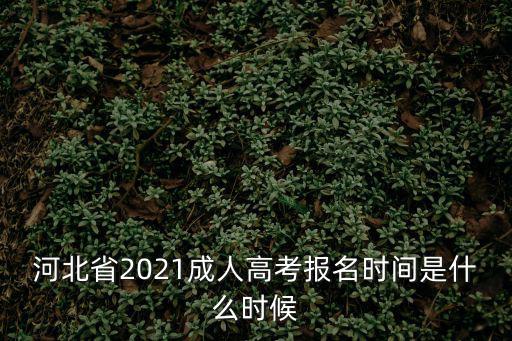 河北省2021成人高考報(bào)名時(shí)間是什么時(shí)候