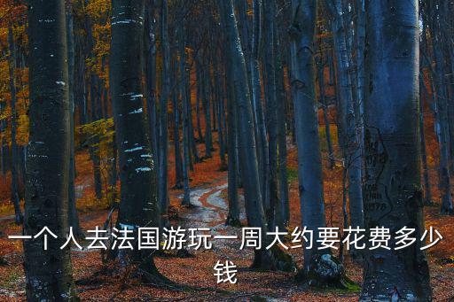 一個(gè)人去法國(guó)游玩一周大約要花費(fèi)多少錢(qián)