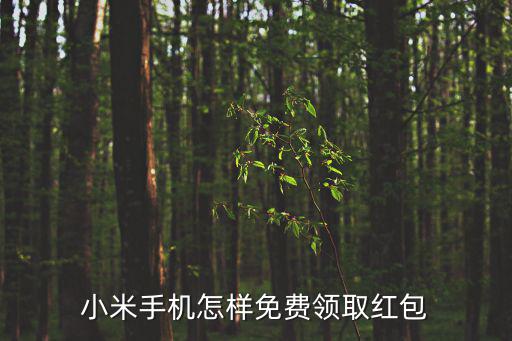 小米手機怎樣免費領取紅包