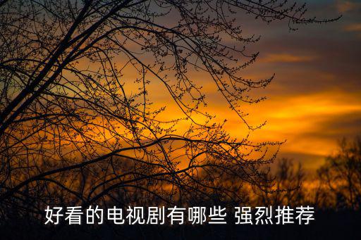 好看的電視劇有哪些 強烈推薦