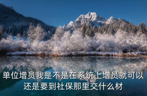 單位增員我是不是在系統上增員就可以還是要到社保那里交什么材