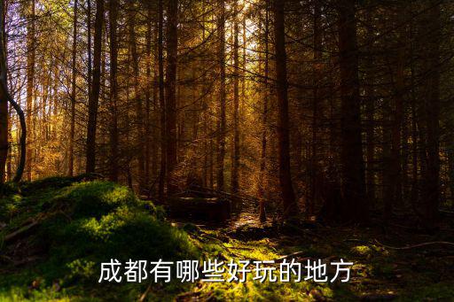 成都好玩的，成都好玩地方