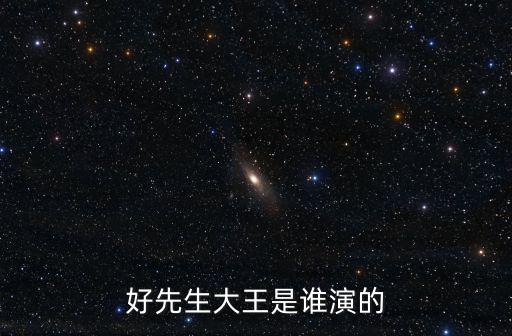 好先生演員表，好先生大王是誰演的