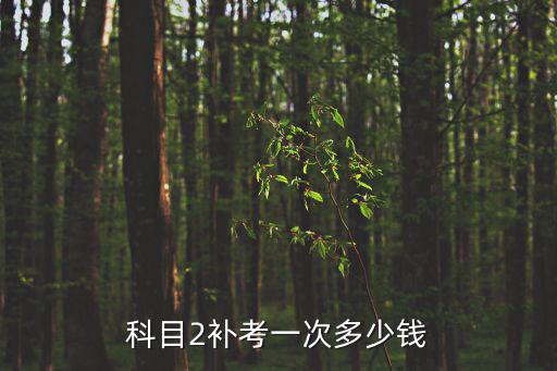 科目2補考一次多少錢