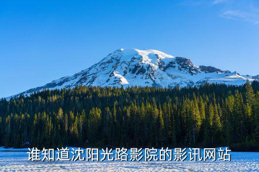 沈陽影訊，沈陽光陸影訊