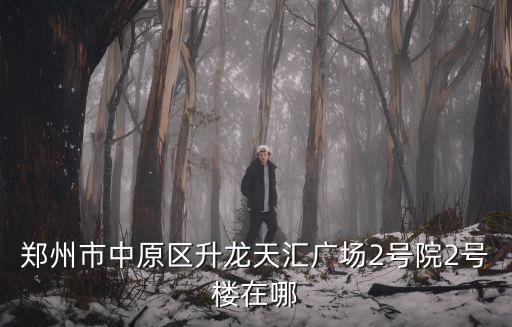 鄭州市中原區(qū)升龍?zhí)靺R廣場2號院2號樓在哪