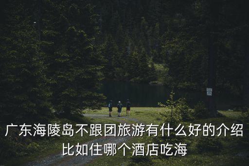 陽江海陵島房價，廣東陽江閘坡現在賓館房價多少