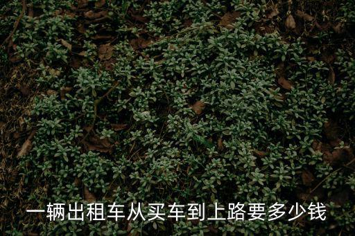 一輛出租車(chē)從買(mǎi)車(chē)到上路要多少錢(qián)
