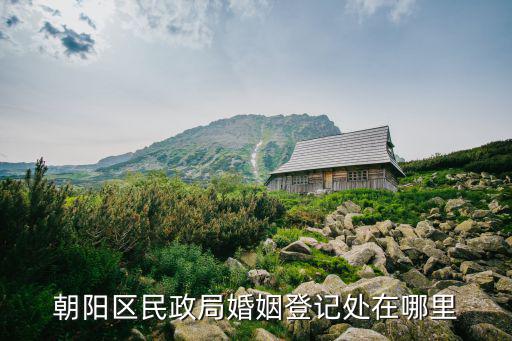 朝陽區民政局婚姻登記處在哪里