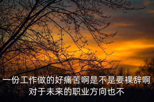 一份工作做的好痛苦啊是不是要裸辭啊對于未來的職業方向也不