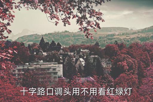 十字路口調頭用不用看紅綠燈