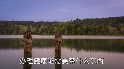 辦理健康證需要帶什么東西