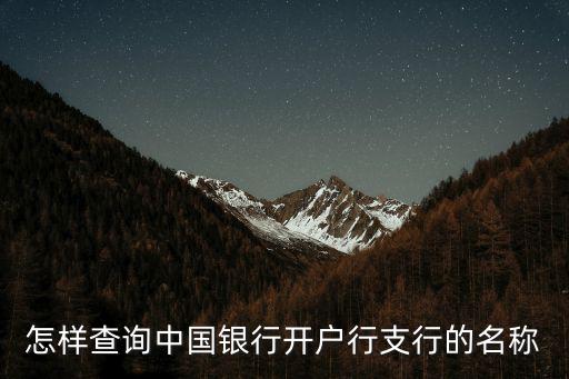 怎樣查詢中國銀行開戶行支行的名稱