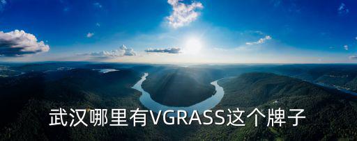 武漢哪里有VGRASS這個牌子