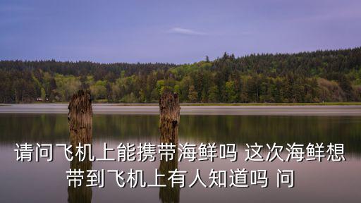 請問飛機上能攜帶海鮮嗎 這次海鮮想帶到飛機上有人知道嗎 問