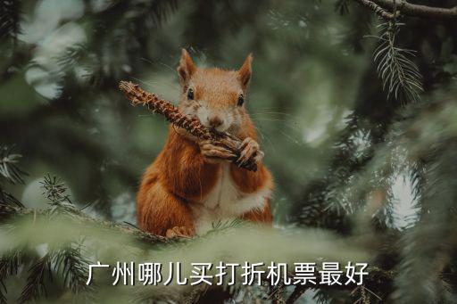 廣州哪兒買打折機票最好