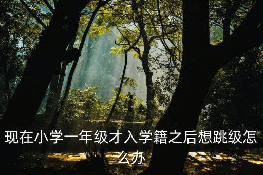 現在小學一年級才入學籍之后想跳級怎么辦