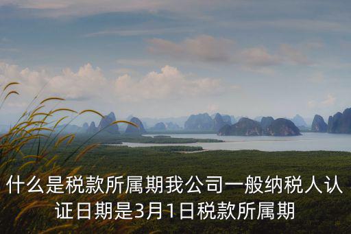 什么是稅款所屬期我公司一般納稅人認(rèn)證日期是3月1日稅款所屬期