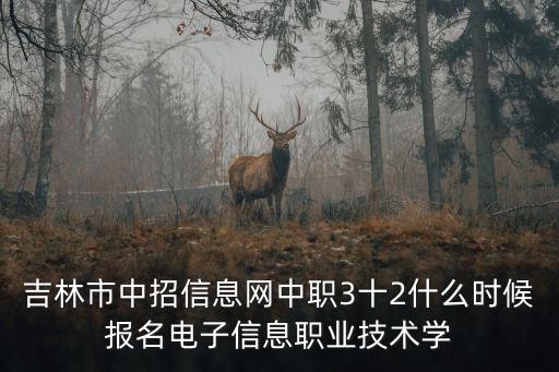 吉林市中招信息網(wǎng)中職3十2什么時(shí)候報(bào)名電子信息職業(yè)技術(shù)學(xué)