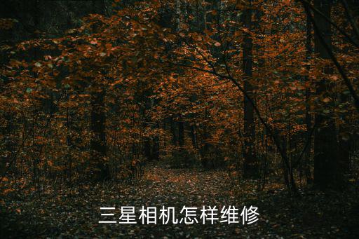 三星相機怎樣維修