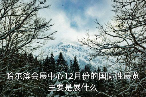 哈爾濱會展中心12月份的國際性展覽主要是展什么