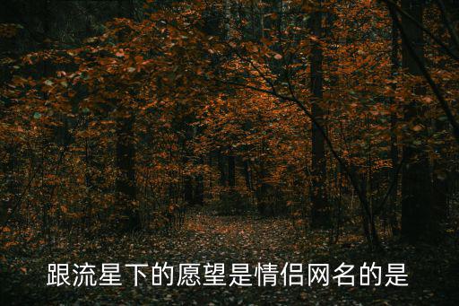 跟流星下的愿望是情侶網(wǎng)名的是