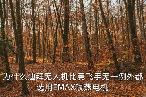 無人機比賽，是不是所有的無人機競賽都是選用肥鯊的