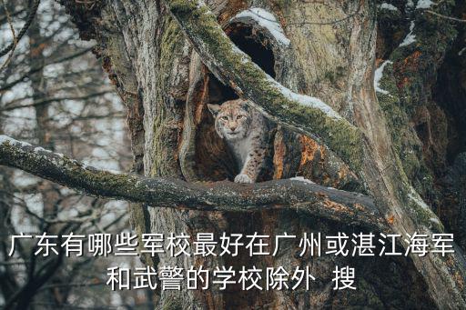 廣東有哪些軍校最好在廣州或湛江海軍和武警的學校除外  搜
