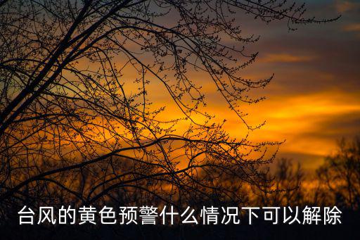 臺風的黃色預警什么情況下可以解除