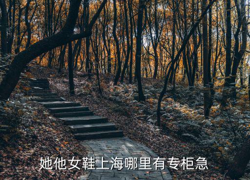 她他女鞋上海哪里有專柜急