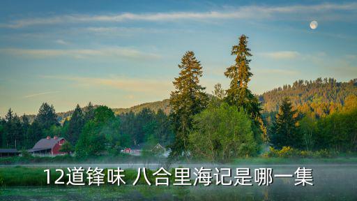 12道鋒味 八合里海記是哪一集