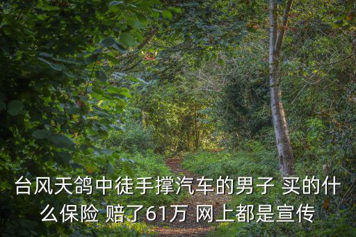 臺風天鴿中徒手撐汽車的男子 買的什么保險 賠了61萬 網上都是宣傳