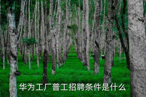 華為工廠普工招聘條件是什么