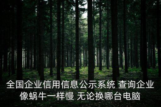 全國企業信用信息公示系統 查詢企業像蝸牛一樣慢 無論換哪臺電腦