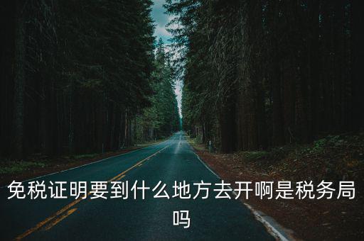 免稅證明要到什么地方去開啊是稅務(wù)局嗎