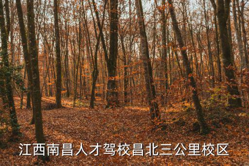 江西南昌人才駕校昌北三公里校區