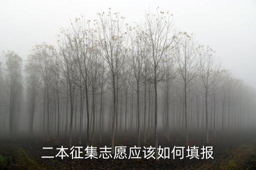 二本征集志愿應該如何填報