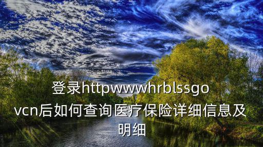 登錄httpwwwhrblssgovcn后如何查詢醫療保險詳細信息及明細
