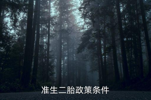 準生二胎政策，計劃生育生二胎具體政策