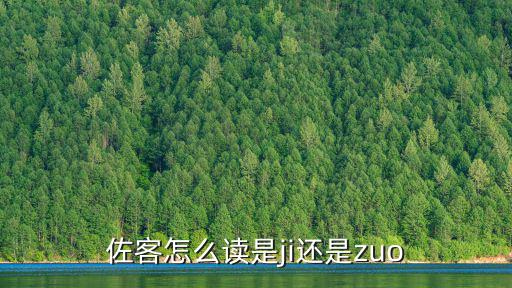 佐客怎么讀是ji還是zuo