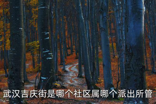 武漢吉慶街是哪個社區屬哪個派出所管