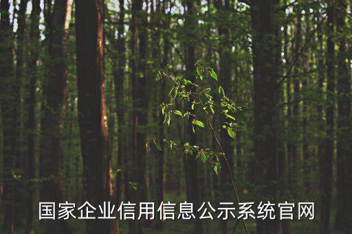 全國企業(yè)信息信用公示系統(tǒng)官網(wǎng)，怎么打開江西省企業(yè)信用信息公示系統(tǒng)