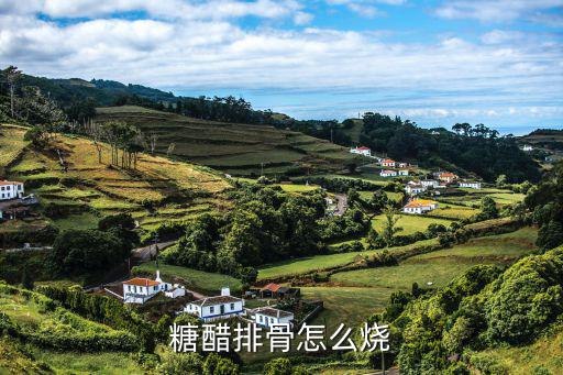 糖醋排骨怎么燒