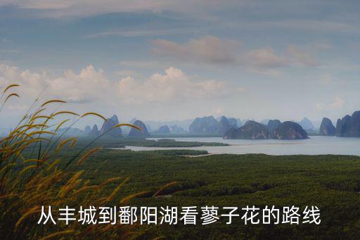 從豐城到鄱陽(yáng)湖看蓼子花的路線(xiàn)