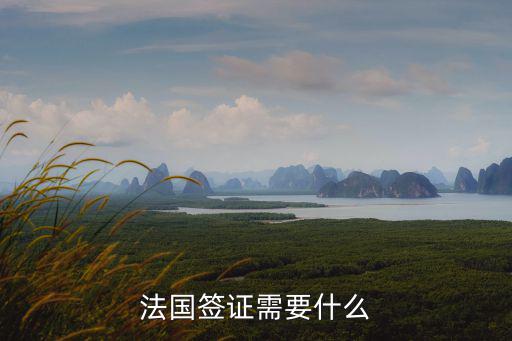法國簽證需要什么