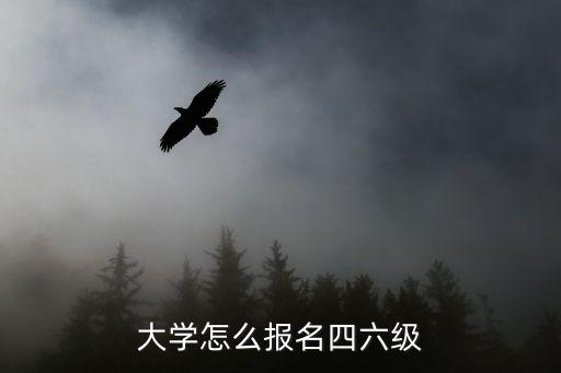四六級成績報(bào)名，四六級報(bào)名條件