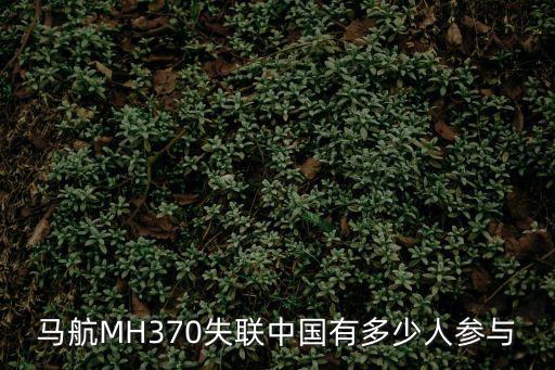 馬航MH370失聯中國有多少人參與