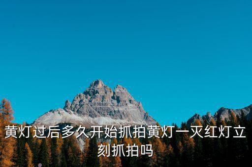 抓拍，抓拍是治安探頭還是交警的