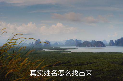真實(shí)姓名怎么找出來